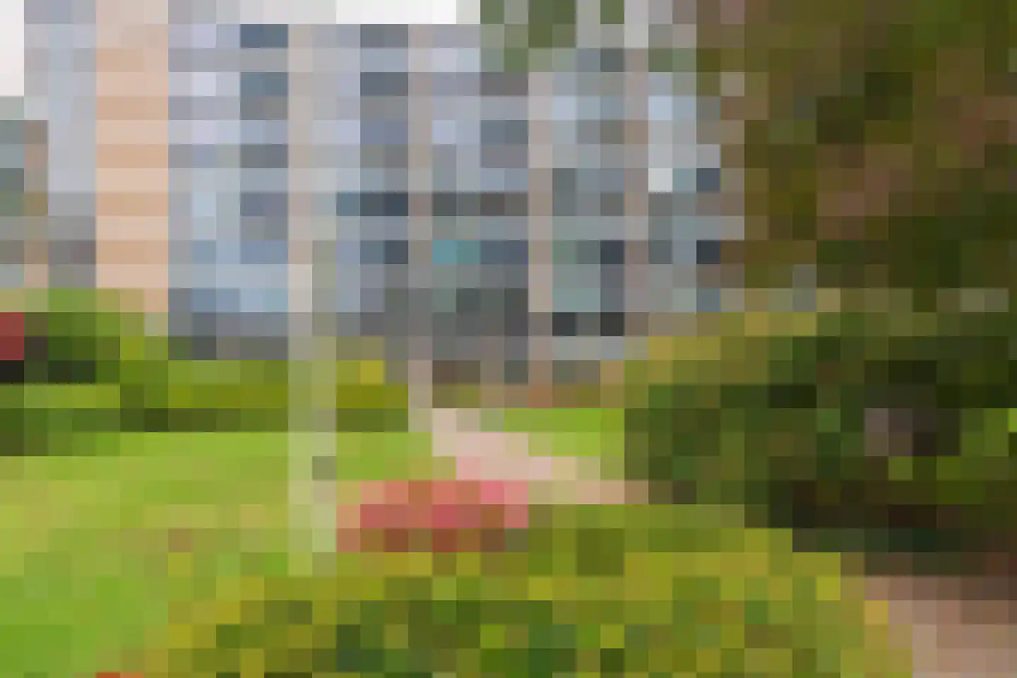 Utrechtseweg 62 50 Heelsum thumbnail 20