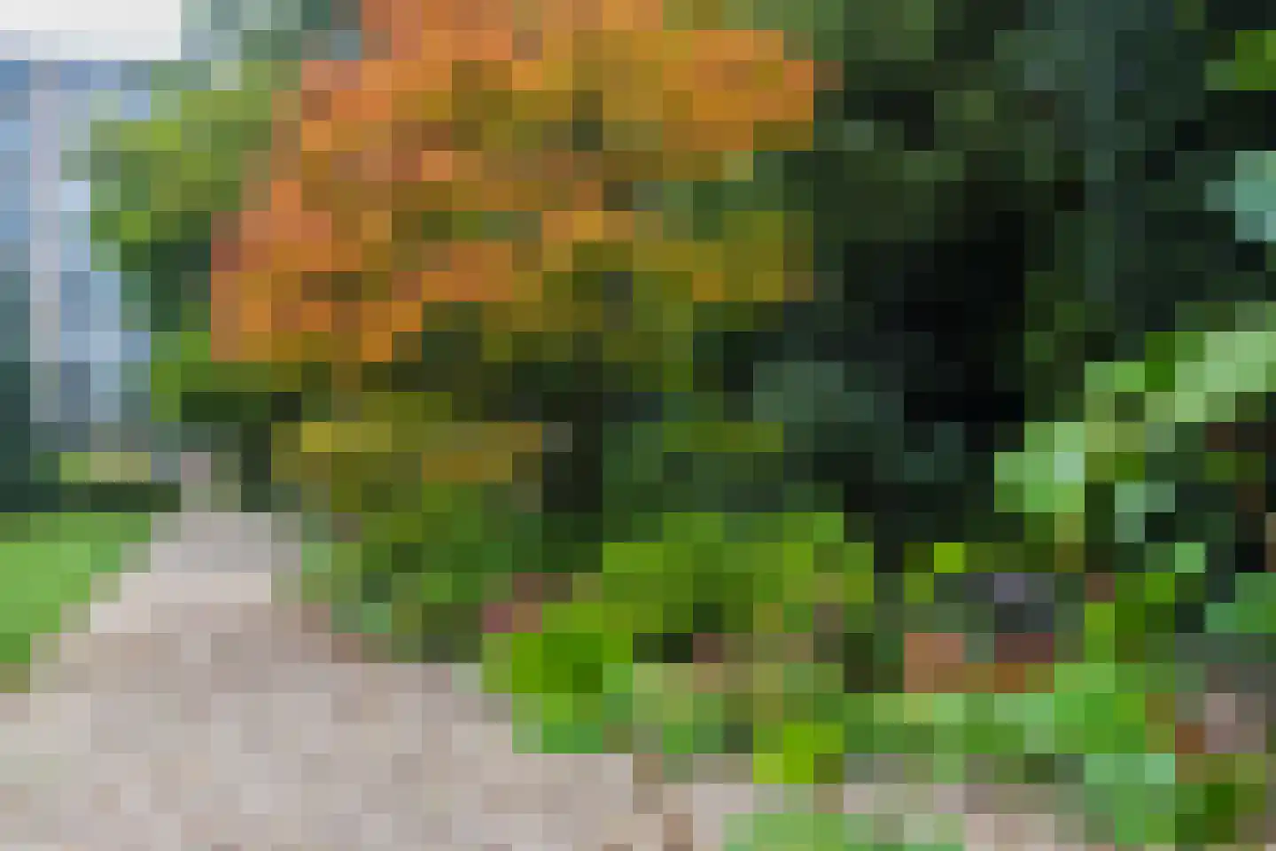 Utrechtseweg 62 50 Heelsum thumbnail 21