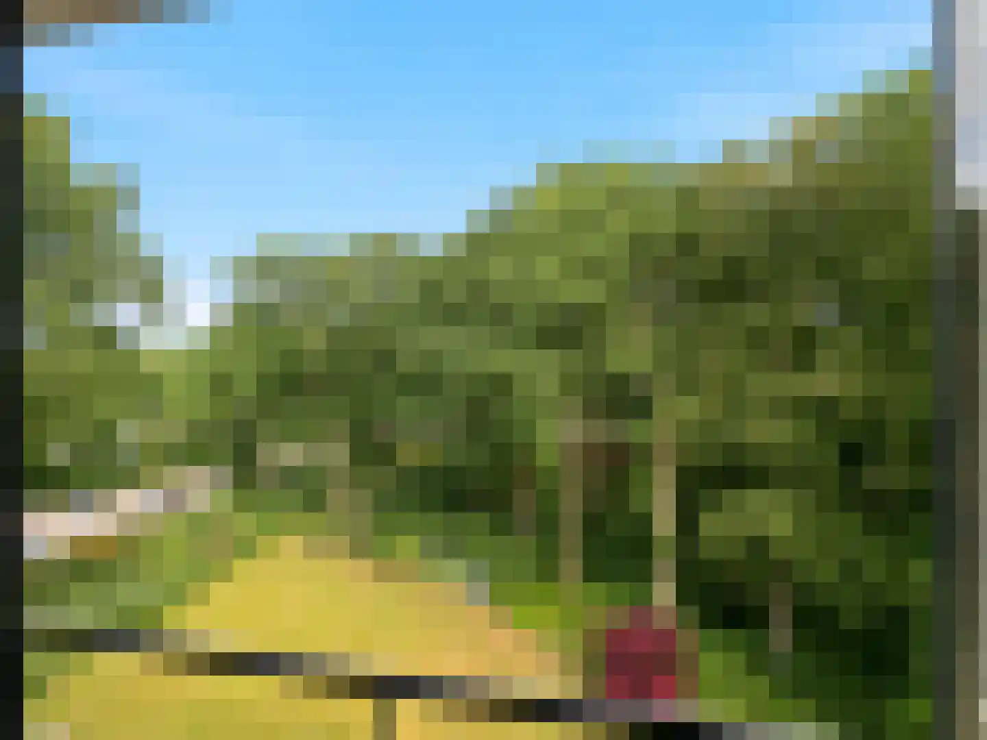 Utrechtseweg 62 90 Heelsum thumbnail 9