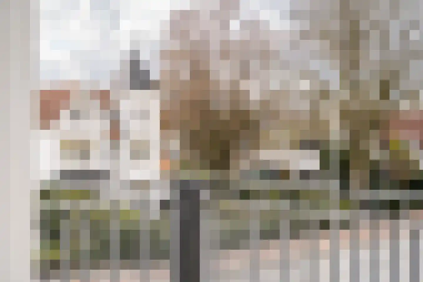 Utrechtseweg 69 E Oosterbeek thumbnail 32