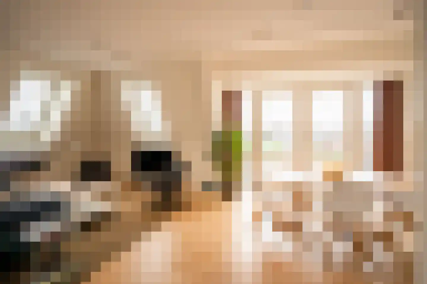 Utrechtseweg 69 E Oosterbeek thumbnail 9