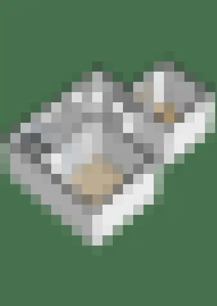 Utrechtseweg 76 2 Arnhem thumbnail 38