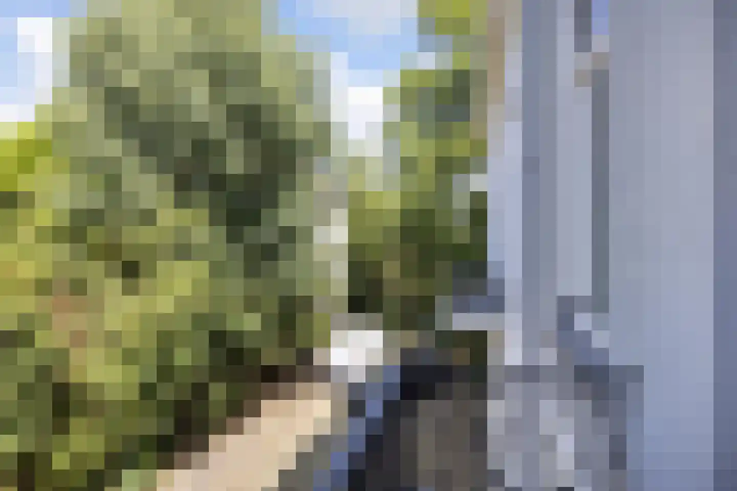 Utrechtseweg 76 4 Arnhem thumbnail 14