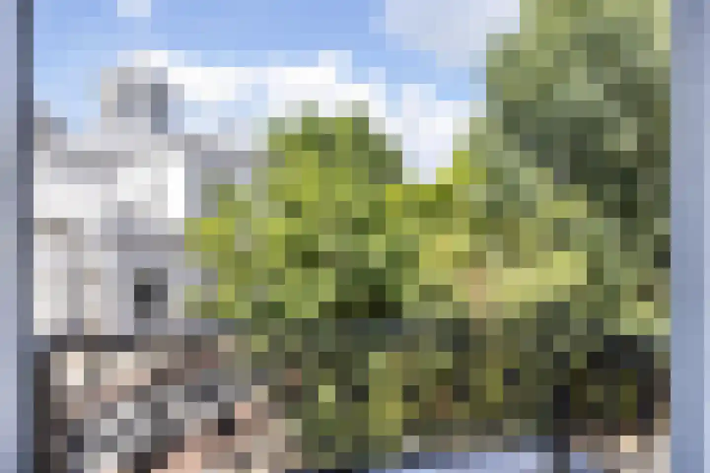 Utrechtseweg 76 4 Arnhem thumbnail 15
