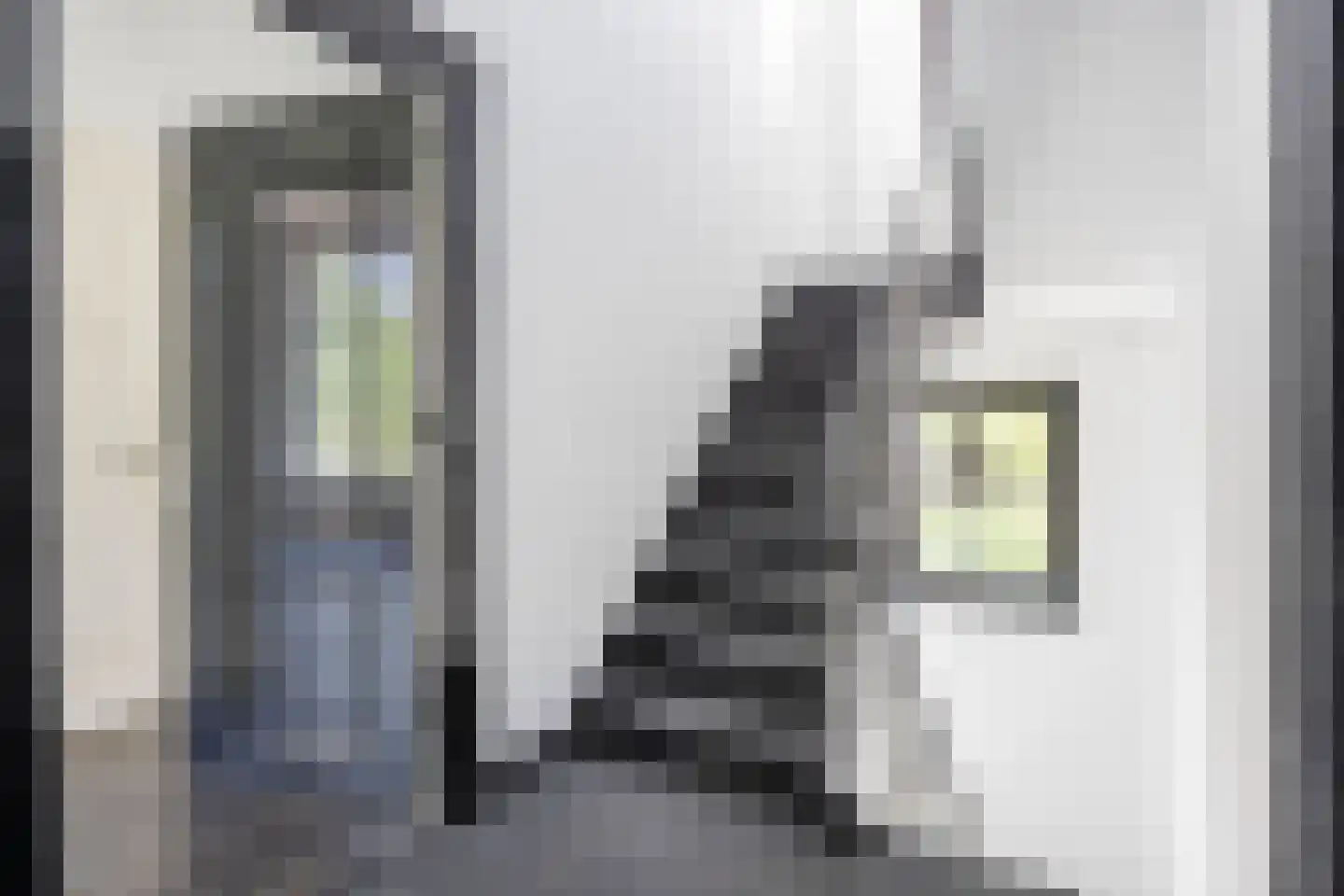 Utrechtseweg 76 4 Arnhem thumbnail 7
