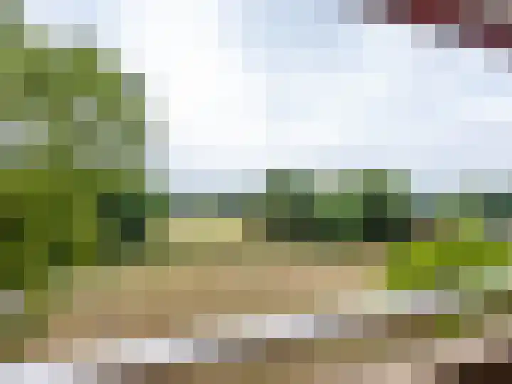 Utrechtseweg 80 201 Heelsum thumbnail 14