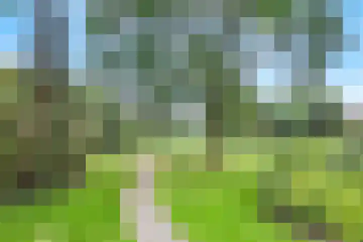 Utrechtseweg 80 201 Heelsum thumbnail 21
