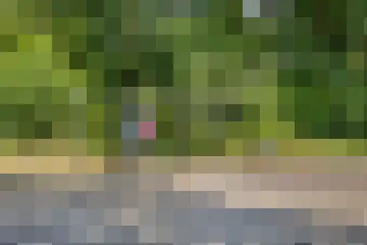 Utrechtseweg 80 201 Heelsum thumbnail 25