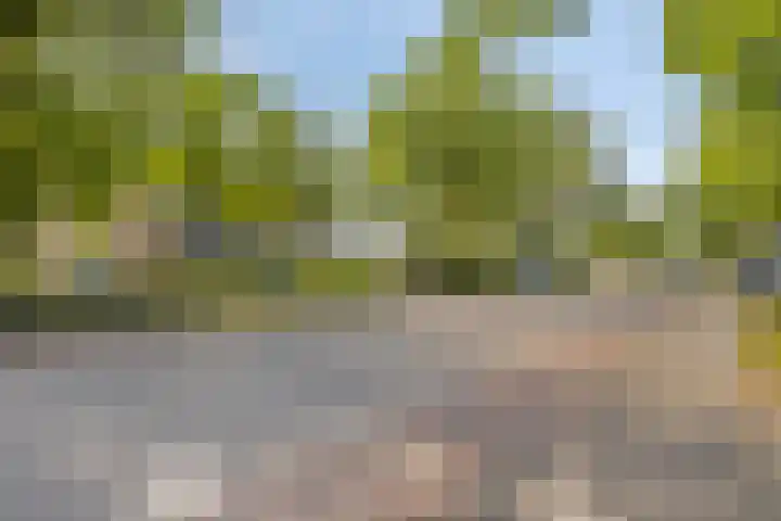 Utrechtseweg 80 201 Heelsum thumbnail 26