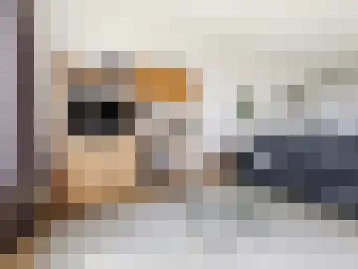 Utrechtseweg 80 201 Heelsum thumbnail 8