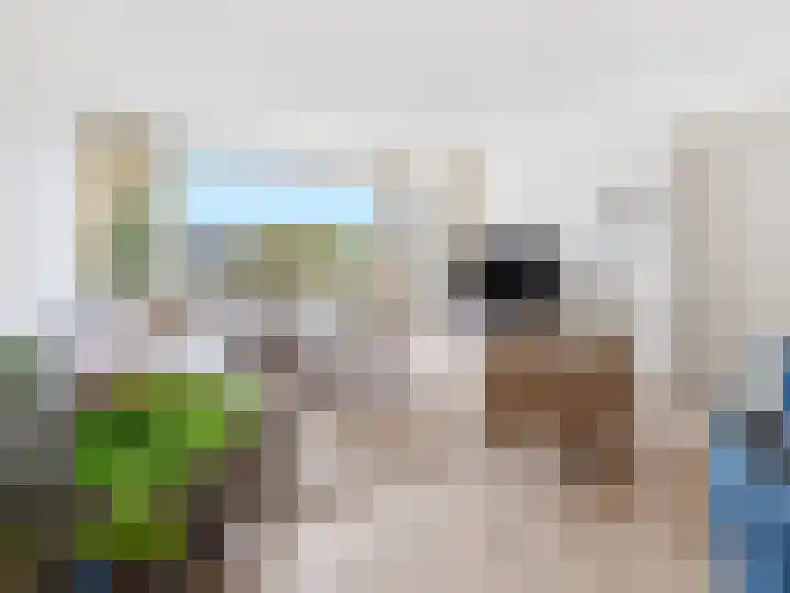 Utrechtseweg 80 201 Heelsum thumbnail 9