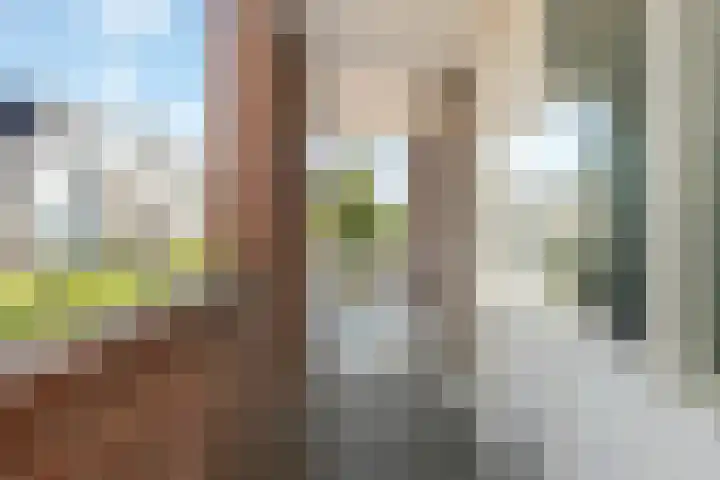 Utrechtseweg 88 D Oosterbeek thumbnail 6