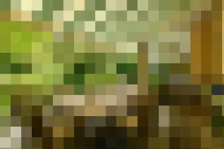 Utrechtseweg 89 Hilversum thumbnail 15