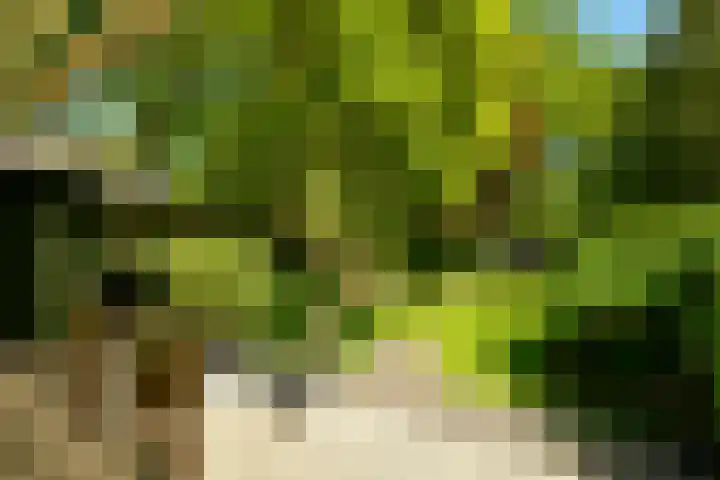 Utrechtseweg 89 Hilversum thumbnail 16