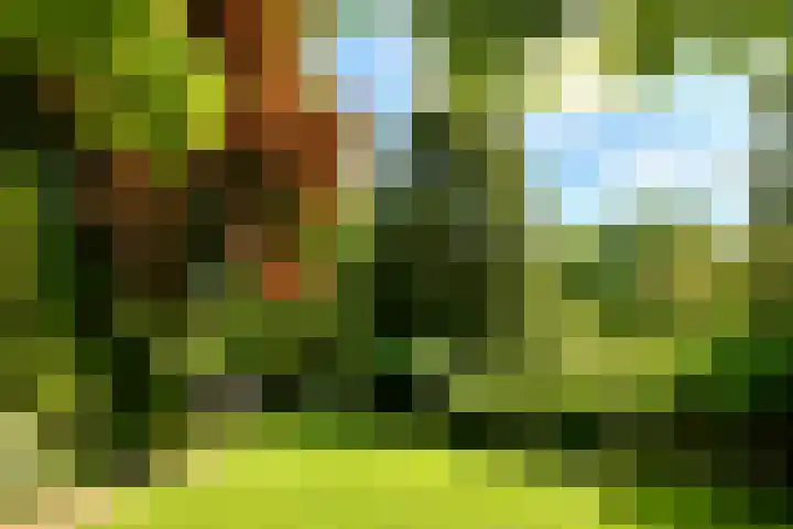 Utrechtseweg 89 Hilversum thumbnail 17