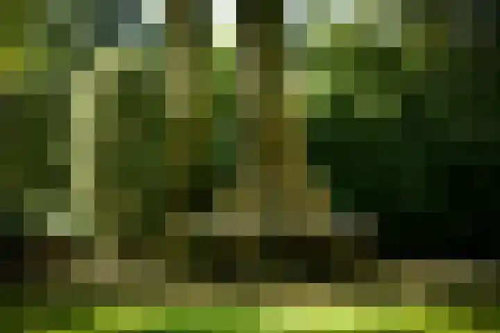 Utrechtseweg 89 Hilversum thumbnail 18
