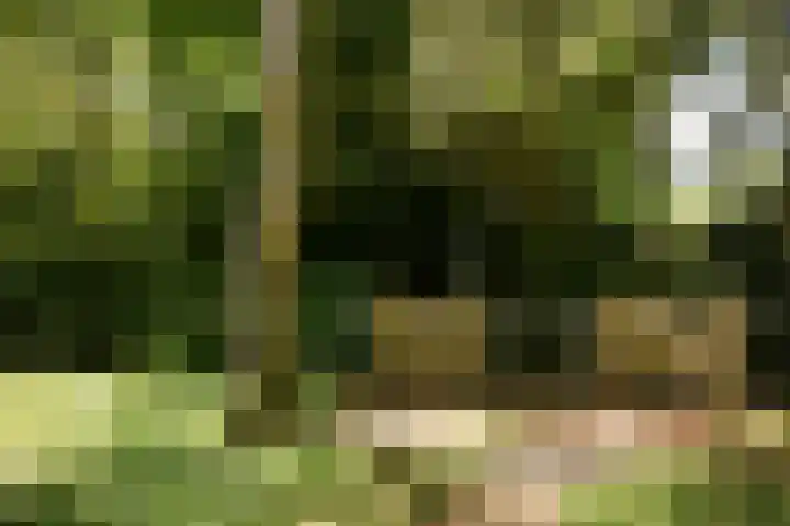 Utrechtseweg 89 Hilversum thumbnail 21