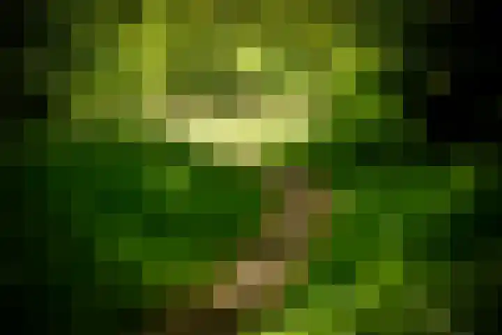 Utrechtseweg 89 Hilversum thumbnail 22
