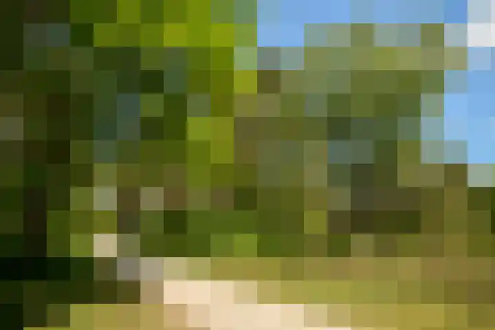 Utrechtseweg 89 Hilversum thumbnail 23
