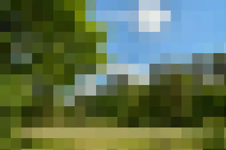 Utrechtseweg 89 Hilversum thumbnail 24