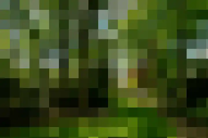 Utrechtseweg 89 Hilversum thumbnail 25