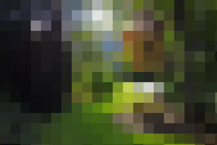 Utrechtseweg 89 Hilversum thumbnail 26