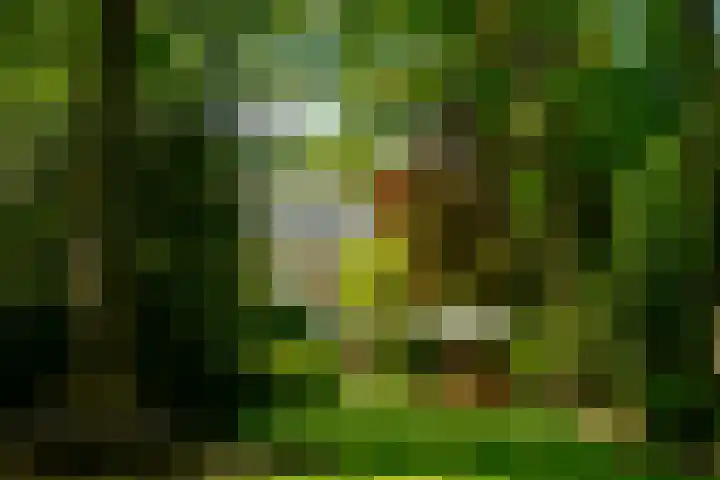 Utrechtseweg 89 Hilversum thumbnail 27