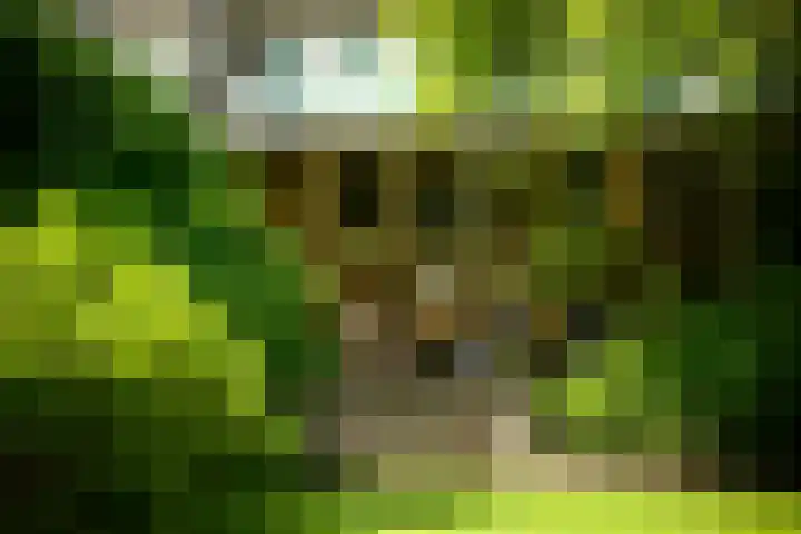 Utrechtseweg 89 Hilversum thumbnail 29