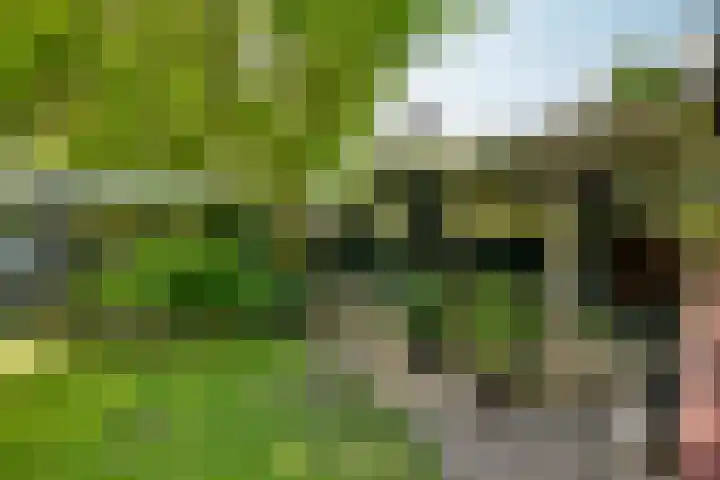 Utrechtseweg 89 Hilversum thumbnail 30
