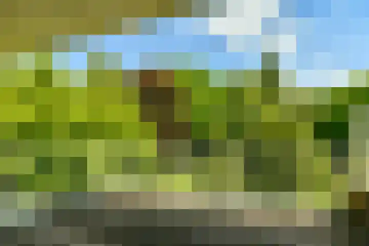 Utrechtseweg 89 Hilversum thumbnail 35