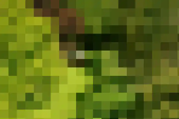 Utrechtseweg 89 Hilversum thumbnail 36
