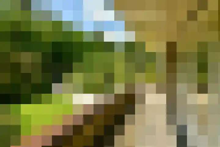 Utrechtseweg 89 Hilversum thumbnail 38