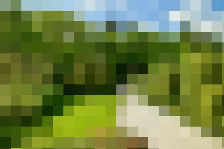 Utrechtseweg 89 Hilversum thumbnail 39