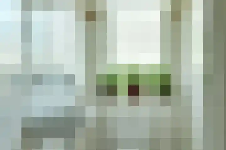 Utrechtseweg 89 Hilversum thumbnail 42