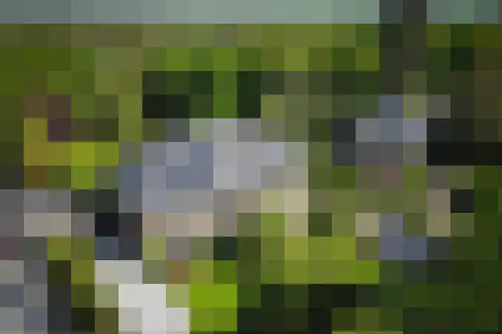 Utrechtseweg 89 Hilversum thumbnail 49