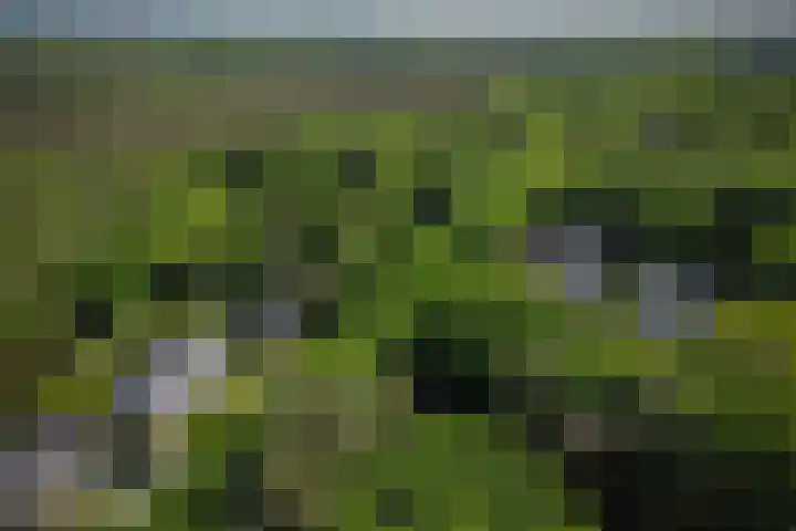 Utrechtseweg 89 Hilversum thumbnail 51