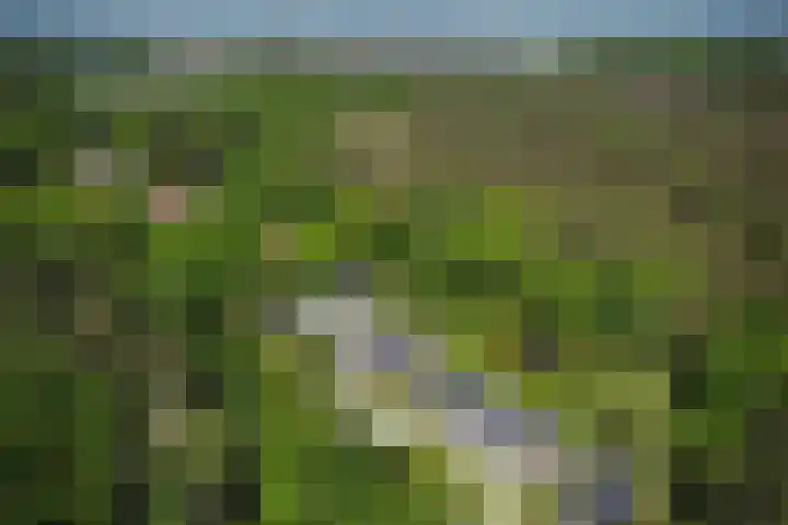 Utrechtseweg 89 Hilversum thumbnail 52