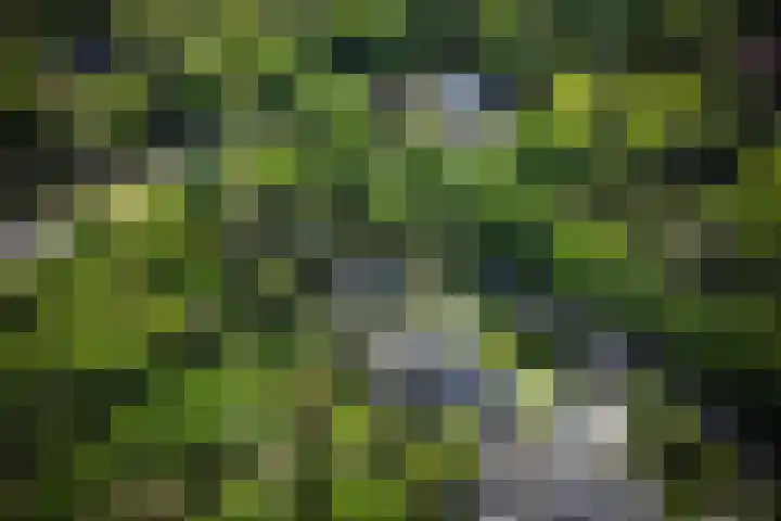 Utrechtseweg 89 Hilversum thumbnail 53