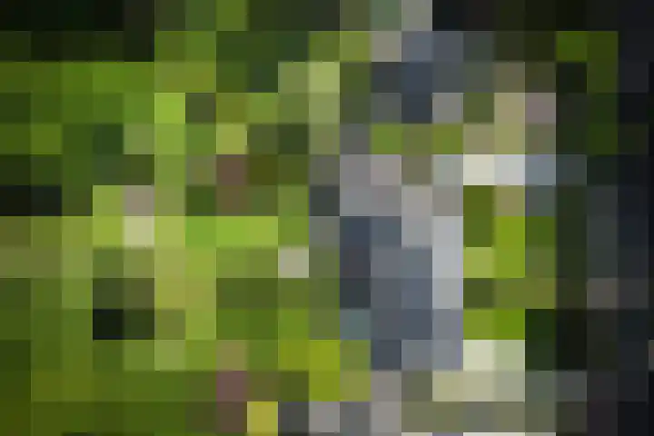 Utrechtseweg 89 Hilversum thumbnail 54