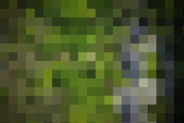 Utrechtseweg 89 Hilversum thumbnail 55
