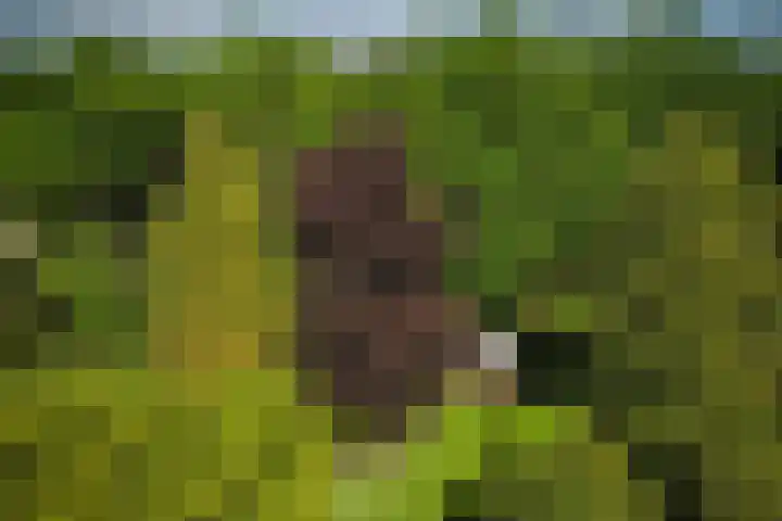 Utrechtseweg 89 Hilversum thumbnail 56