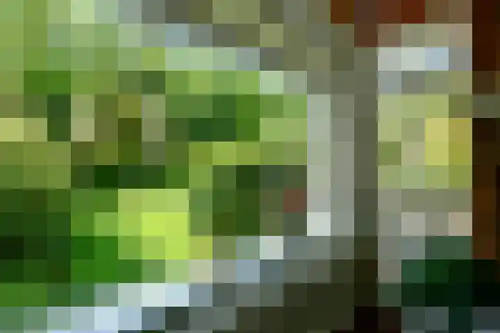 Utrechtseweg 89 Hilversum thumbnail 7