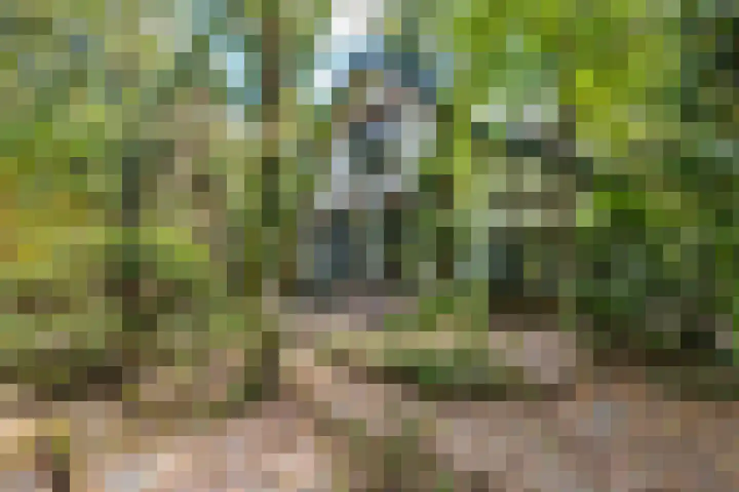Utrechtseweg 91 Hilversum thumbnail 6