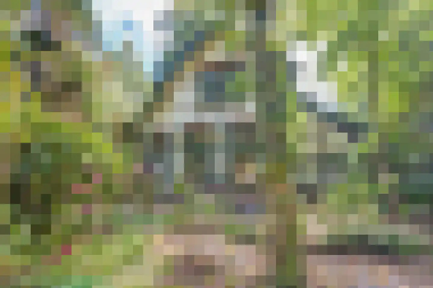 Utrechtseweg 91 Hilversum thumbnail 7