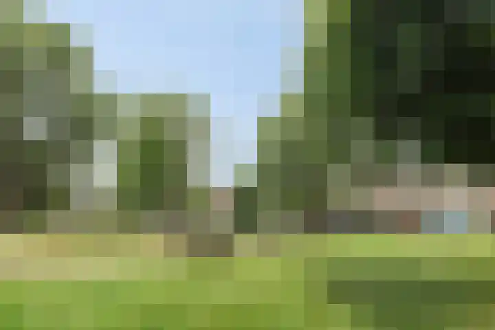 Utrechtstraat 13 's-Hertogenbosch thumbnail 27
