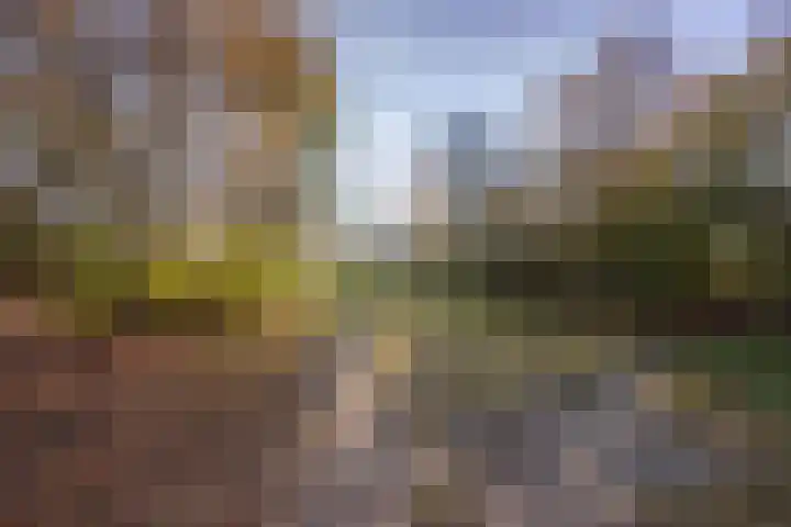 Utrechtstraat 14 Waalwijk thumbnail 32