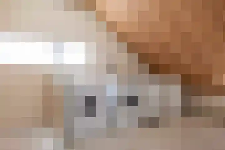 Utrechtstraat 14 Waalwijk thumbnail 45