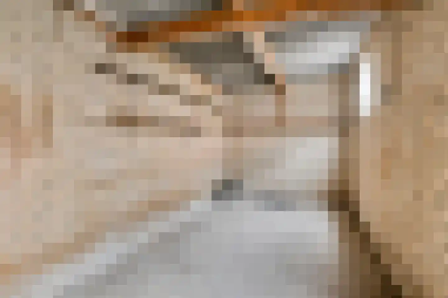 Utrechtstraat 17 's-Hertogenbosch thumbnail 29