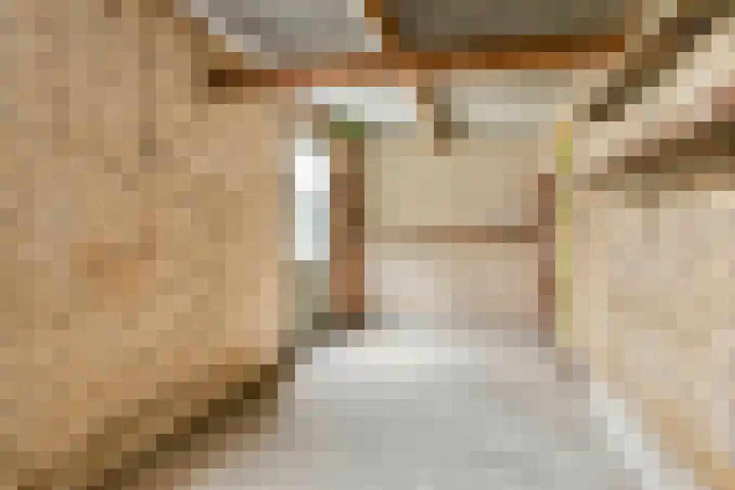Utrechtstraat 17 's-Hertogenbosch thumbnail 30