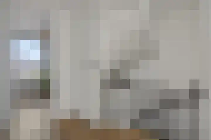 Utrechtstraat 18 Deurne thumbnail 19